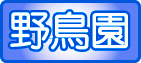 鳥類の検索