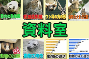 動物の資料のページへ