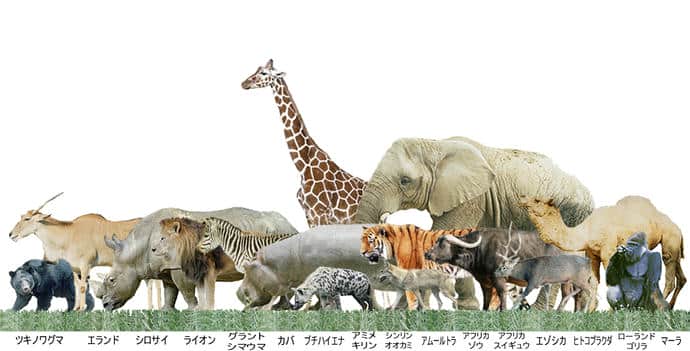 動物の大きさの比較