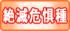 絶滅危惧種の動物
